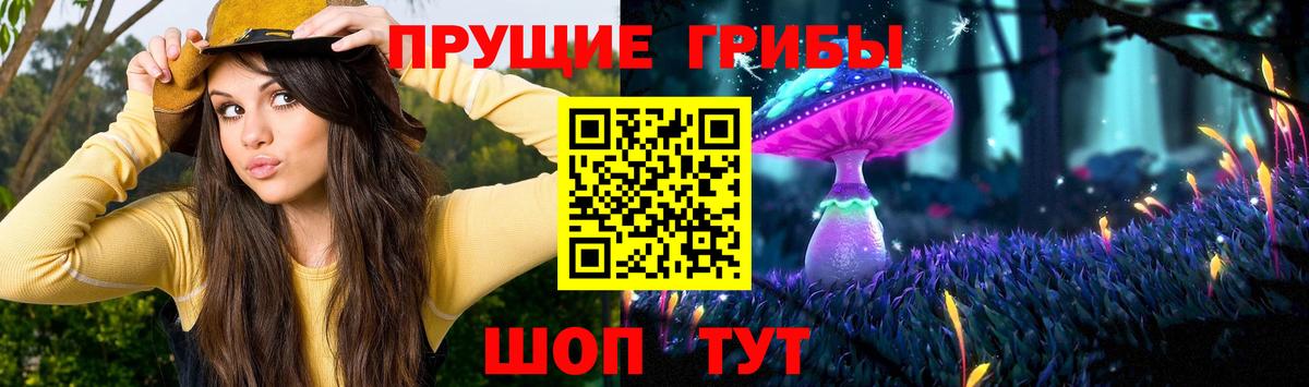 Лесной  Галлюциногенные грибы GOLDEN TEACHER  Вход с VPN  Псилоцибиновые грибы ЛСД 